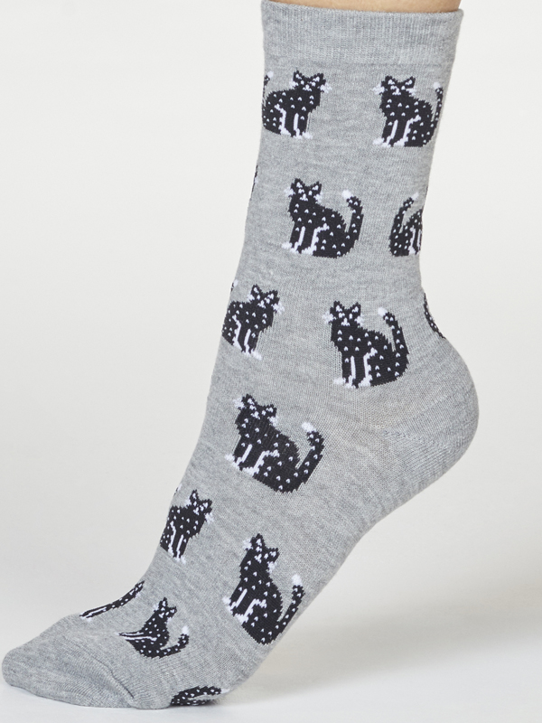 Cats on Socks